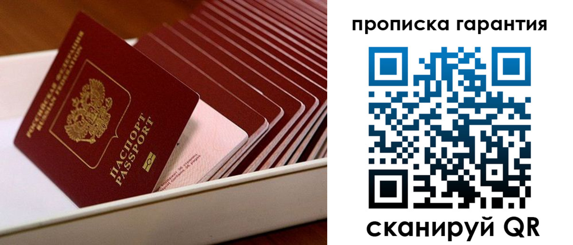 прописка поиск в Рудне